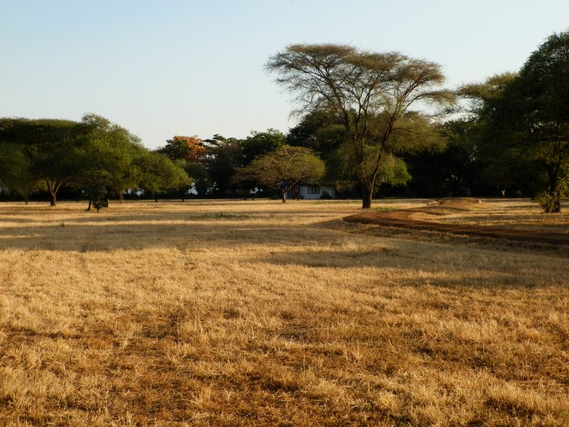 Savanna around the lodge