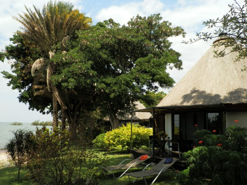 Bungalow terrace